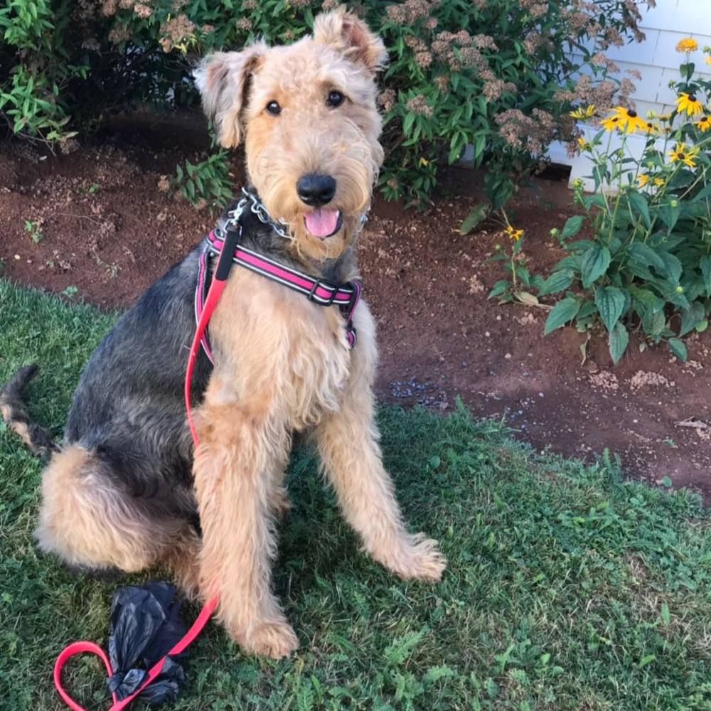 Meet your Posher, Vanessa